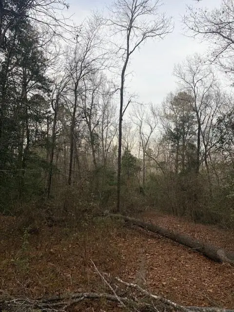 2005 Mcdade Farm Road, Hephzibah, GA 30815 - #3
