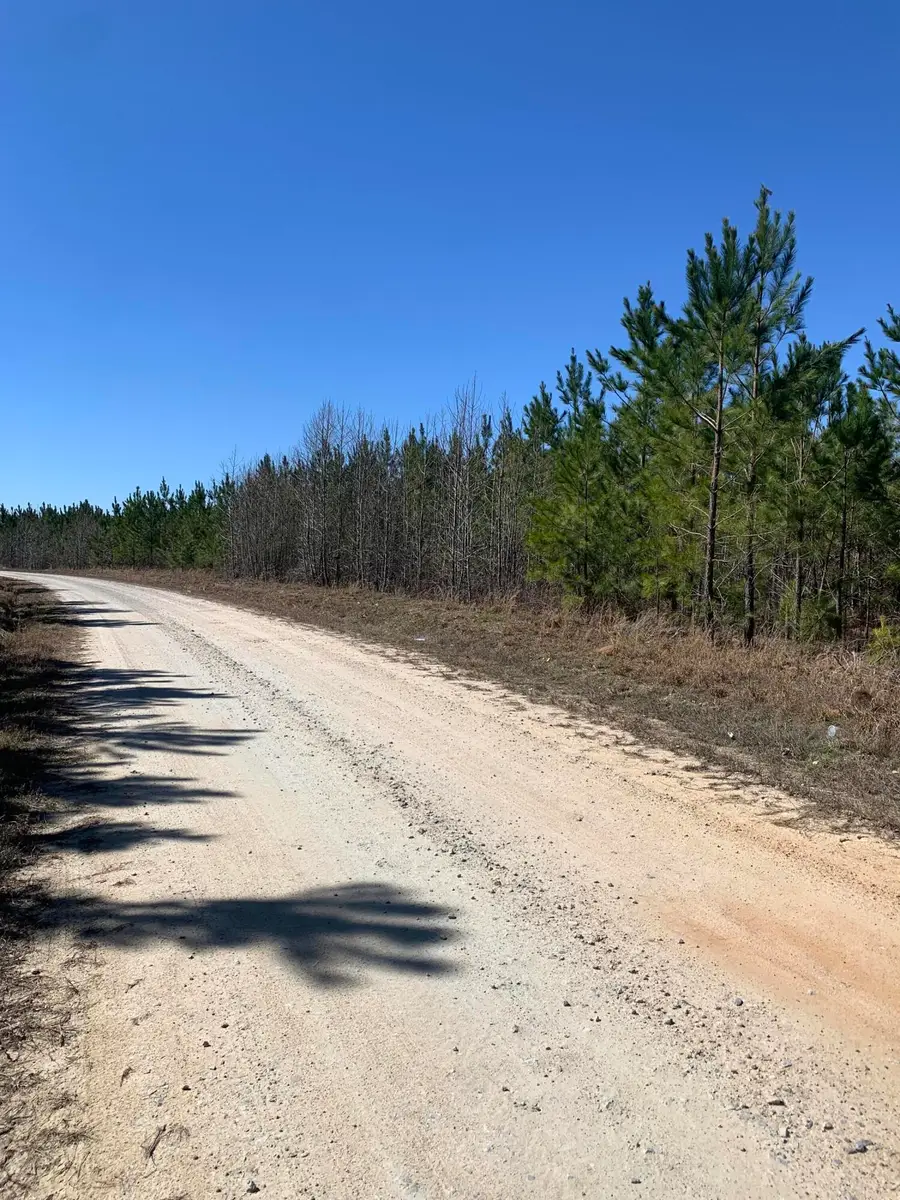 36 Moton Moore Road, Pleasant Lane, SC  - #2