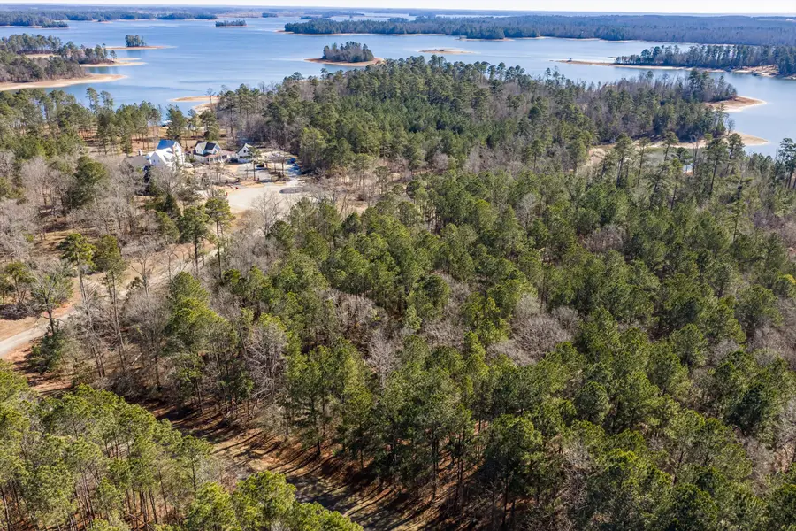1038 Fleming Lake Court, Lincolnton, GA 30817 - #3