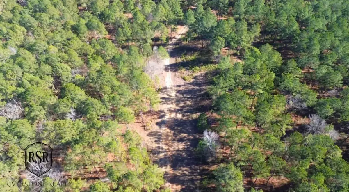 0 L R White Road, Pleasant Lane, SC  - #1