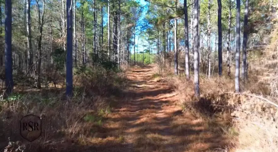 0 L R White Road, Pleasant Lane, SC  - #2