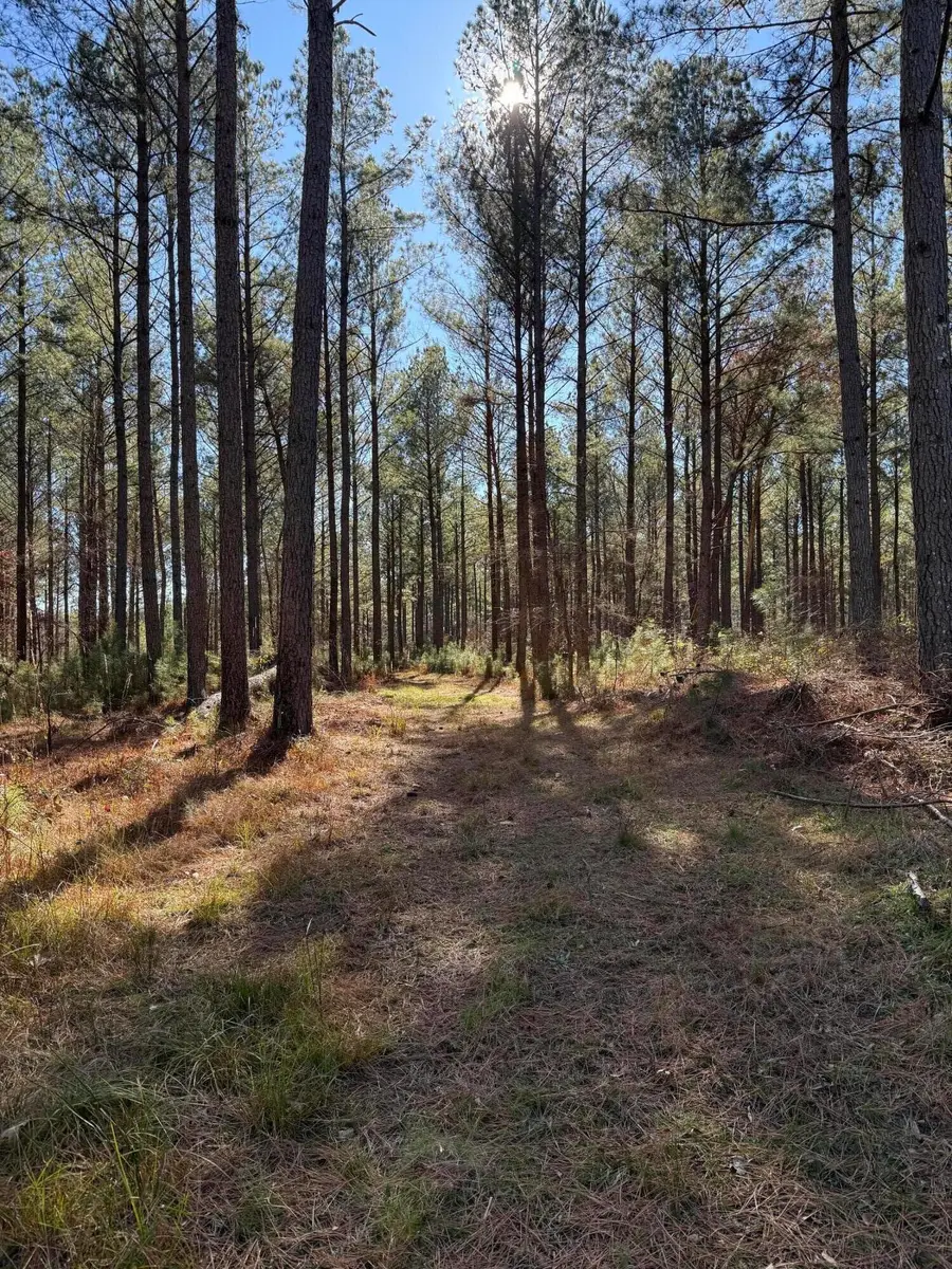 0 L R White Road, Pleasant Lane, SC  - #3