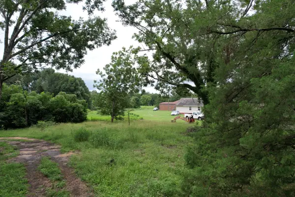 0 Old Waynesboro Road, Keysville, GA 30816