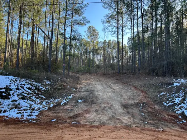 3229 Keysville-boggs Academy Road, Keysville, GA 30816