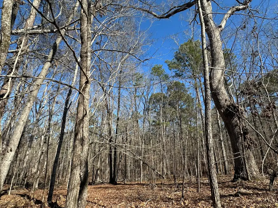 117 Cumberland Drive, McCormick, SC  - #3