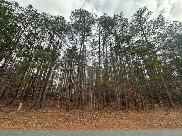 B14 L18 Candlewick Loop, McCormick, SC 