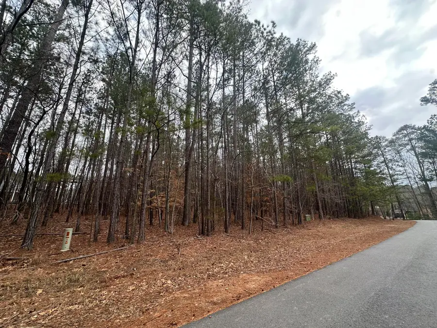 B14 L18 Candlewick Loop, McCormick, SC  - #2