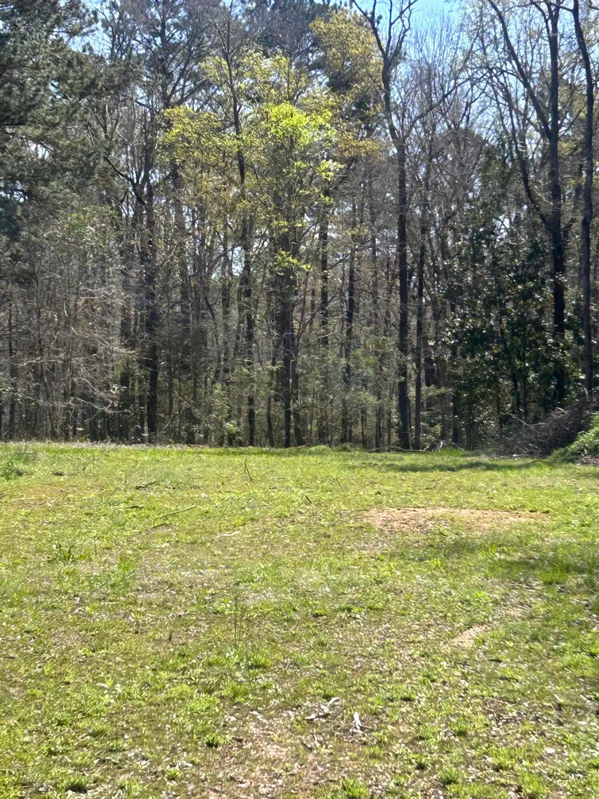 5824 NE Lincolnton Road, Thomson, GA 30824 - #1