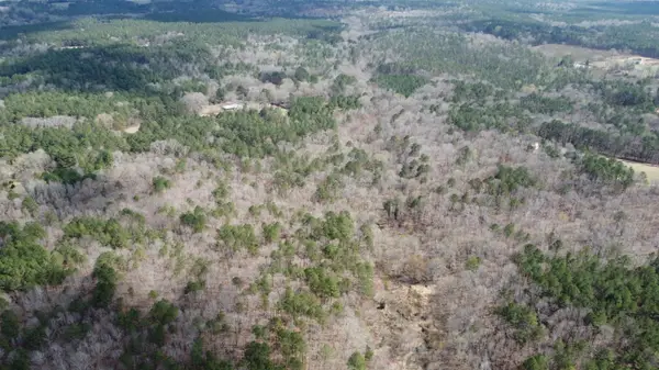 27.2 Ac John Lewis Drive, Lincolnton, GA 30817