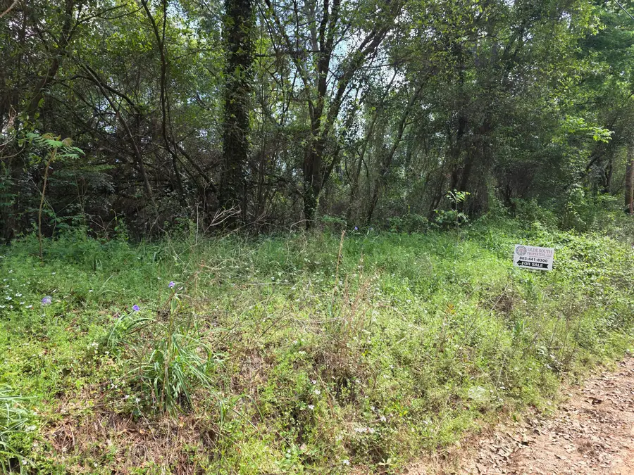 6 Acres Woodberry Lane, North Augusta, SC 29841 - #3