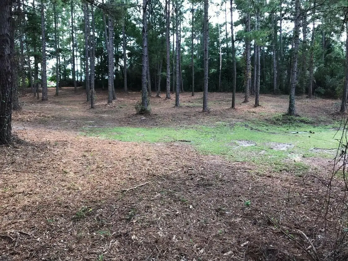 00 University Parkway, Aiken, SC 29801 - #1