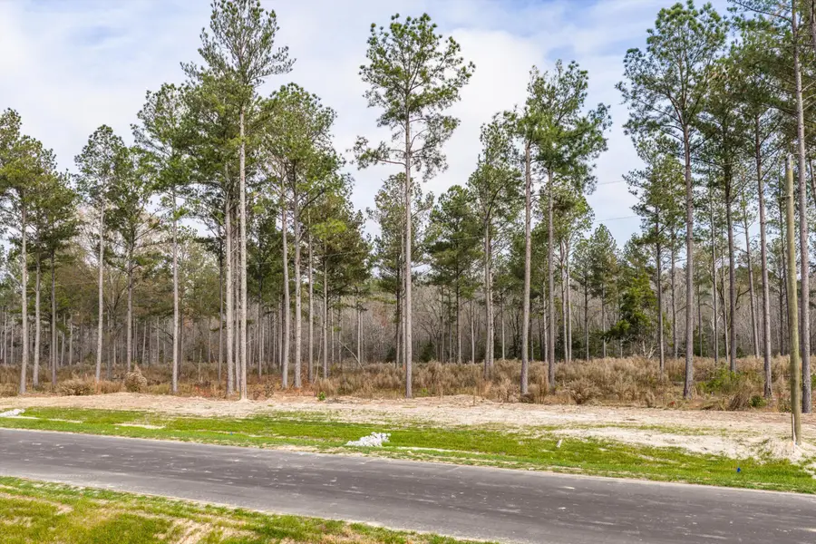 159 Beagle Chase Drive, Appling, GA 30802 - #3