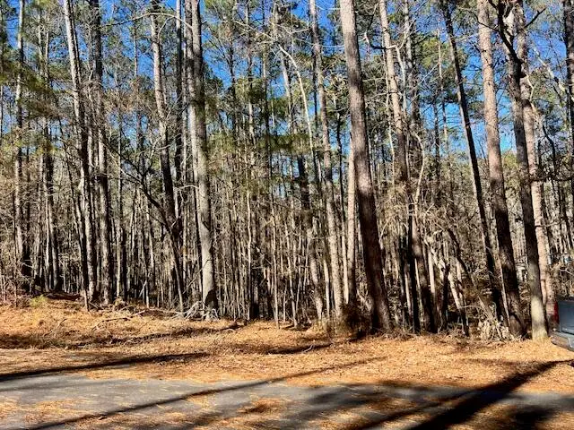 0 Oconee Lane, McCormick, SC  - #1