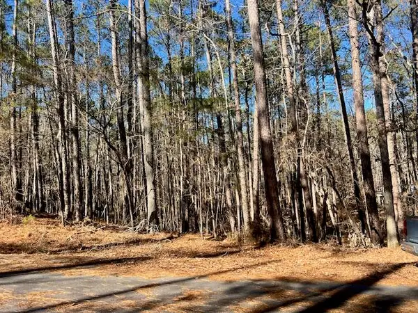 0 Oconee Lane, McCormick, SC 