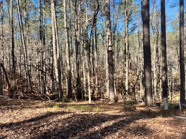 0 Oconee Lane, McCormick, SC  - #2