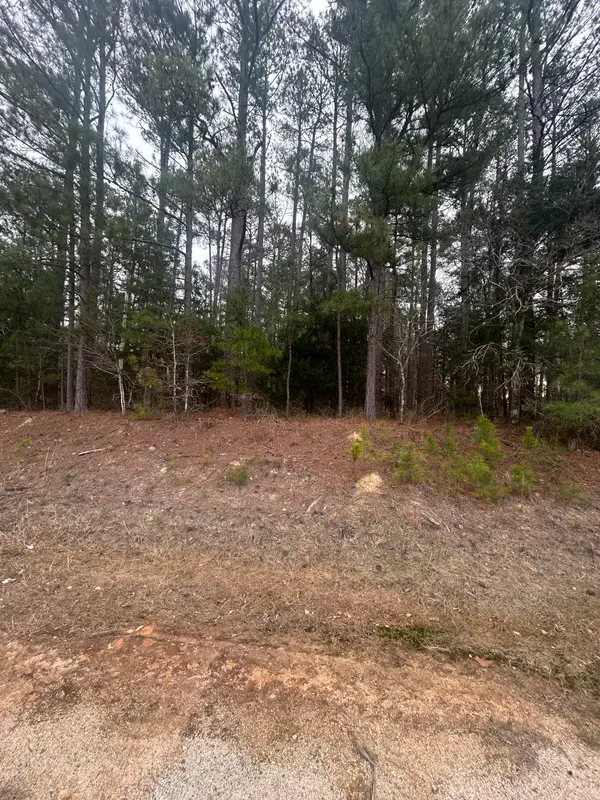 16.9 Ac Hwy 220 E, Lincolnton, GA 30817