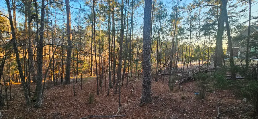 0 Amelia, McCormick, SC  - #2