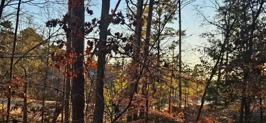 0 Amelia, McCormick, SC  - #3