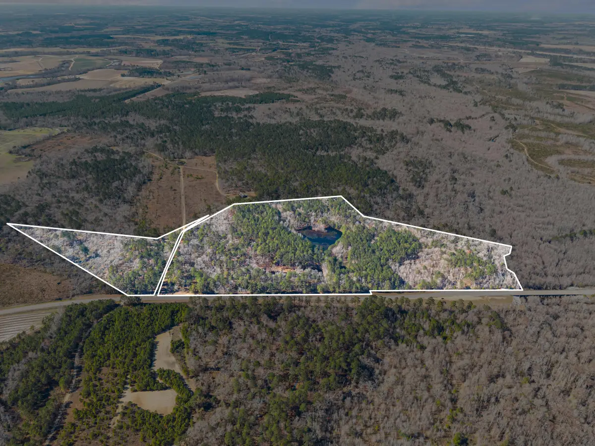 22701 Hwy 129, Cobbtown, GA  - #1