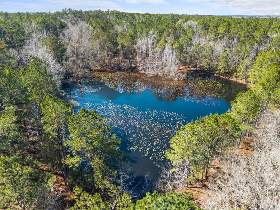 22701 Hwy 129, Cobbtown, GA  - #2