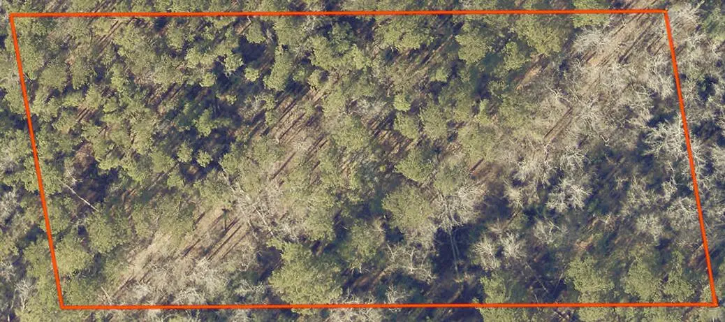 0 Dent Road, Appling, GA 30802 - #1
