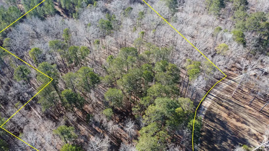 0 Forest Lake Drive, Lincolnton, GA 30817 - #3
