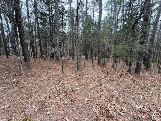 L 5 B 7 Windy Circle, McCormick, SC  - #1