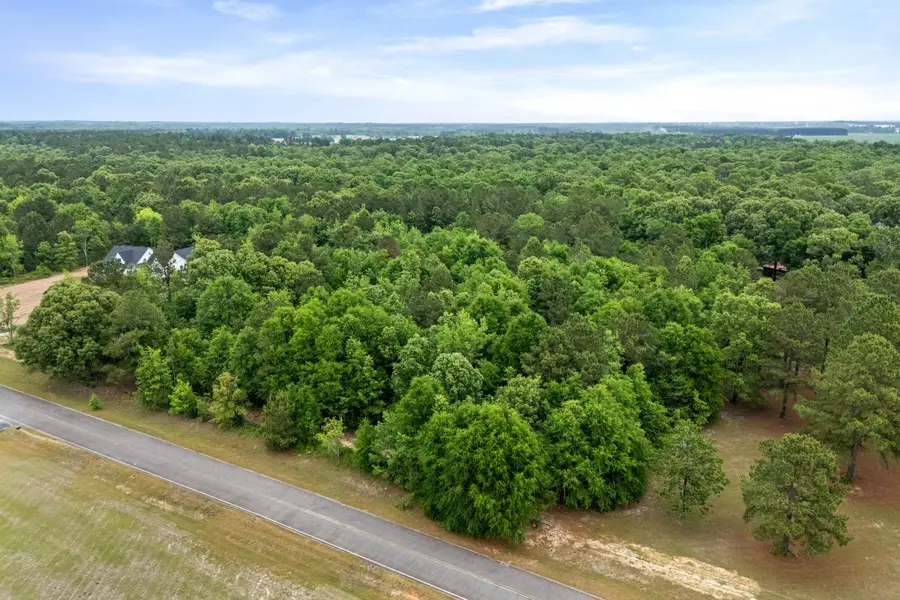 0 Sylvan Grove Road, Stapleton, GA 30823 - #3