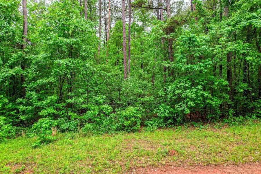 1622 Hinton Wilson Road, Harlem, GA 30814 - #3