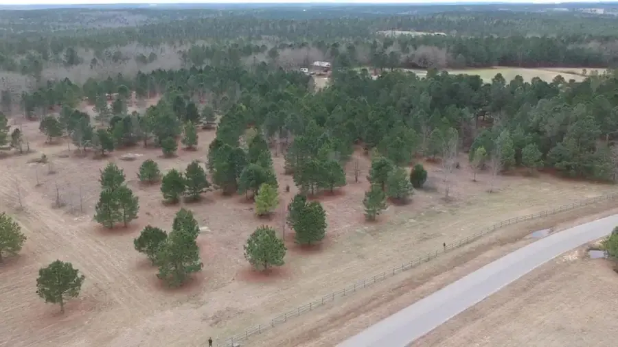 8 Cross Country Lane, Trenton, SC 29847 - #2