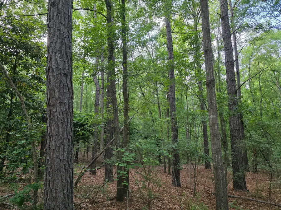 20a Bradleyville Road, North Augusta, SC 29841 - #2