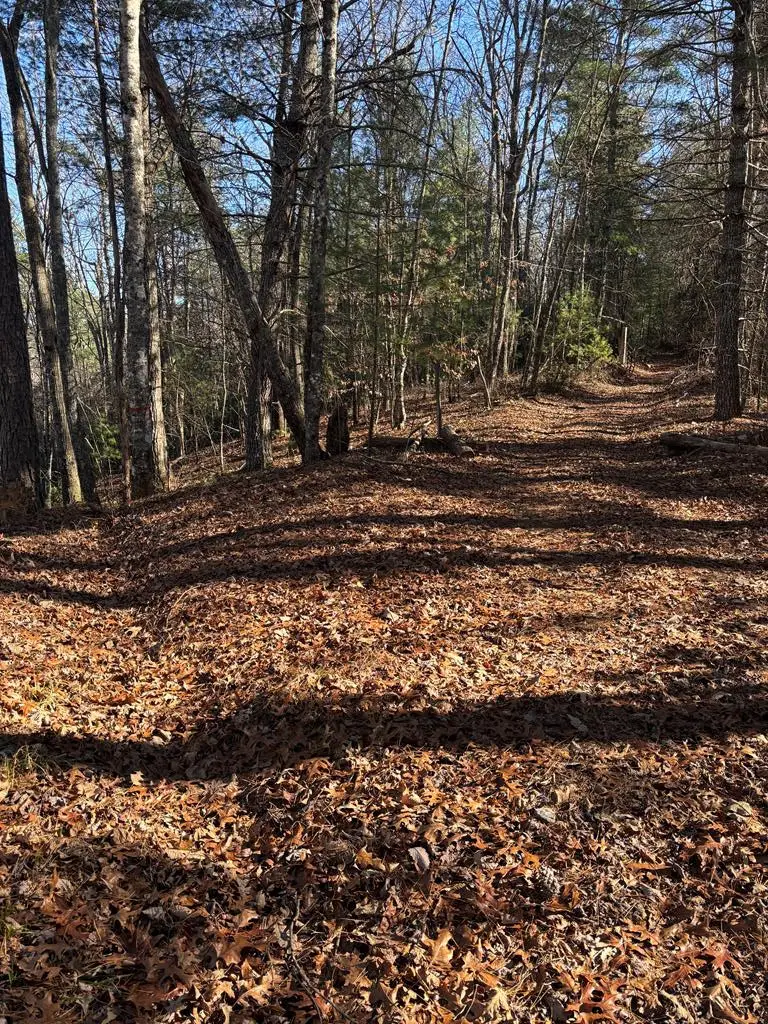 Lot 60 Thundering Hill, Murphy, NC 28906 - #1