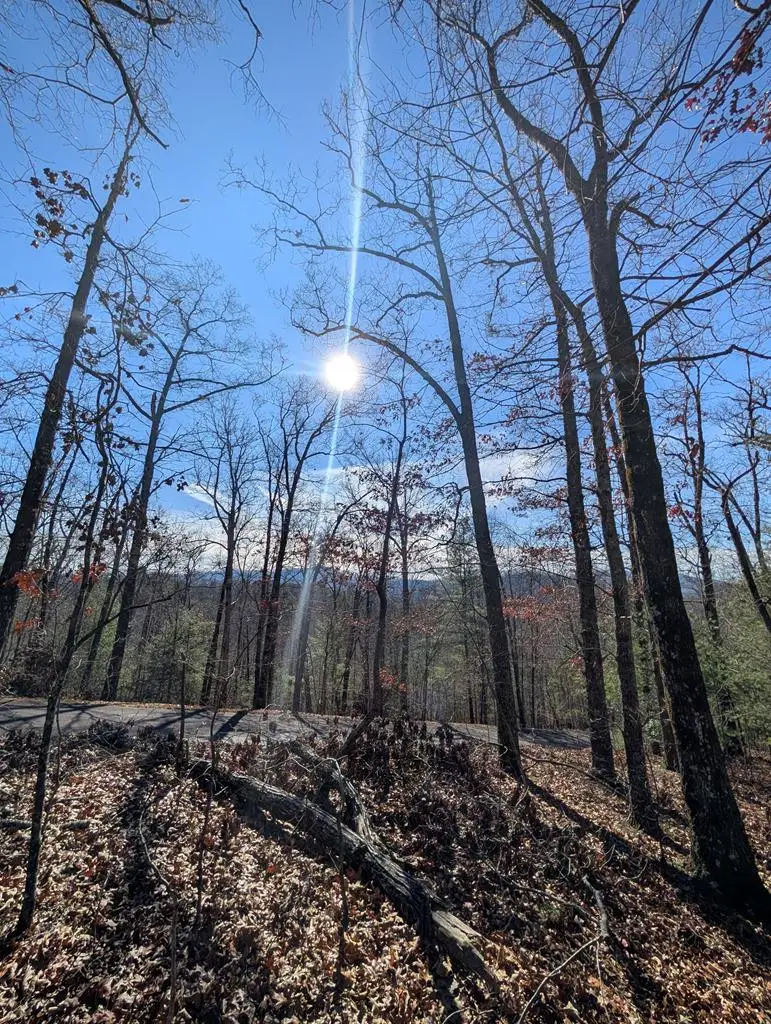 Lot 31 Tower Falls Lane, Hayesville, NC 28904 - #1