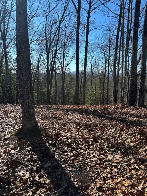 Lot 64 Thundering Hill, Murphy, NC 28906