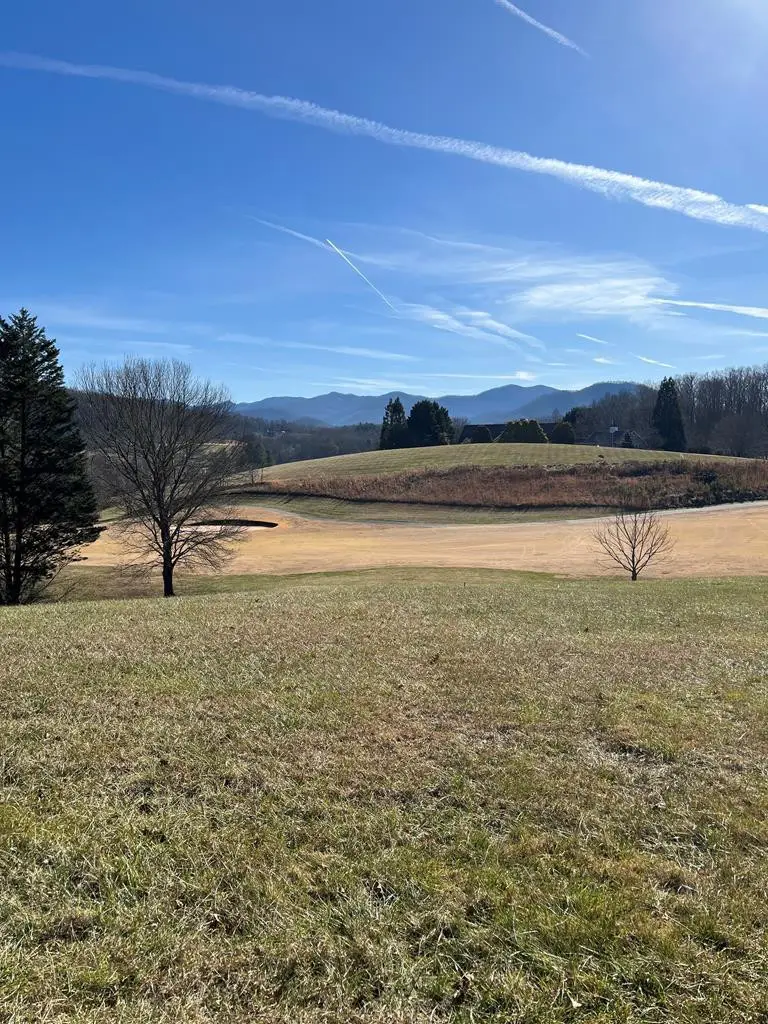 Lot 116a Mountain Harbour Drive, Hayesville, NC 28904 - #2