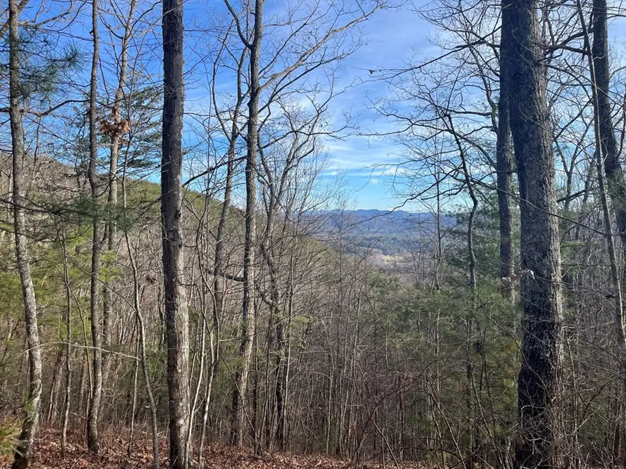 Lot 14 Patriot Ridge, Murphy, NC 28906 - #2