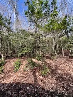 Lot 2 Morris Creek Road, Andrews, NC 28901 - #2