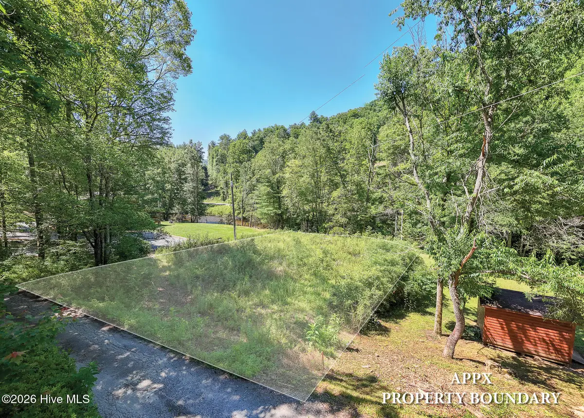 Lot 3 Riverview, Robbinsville, NC 28771 - #1