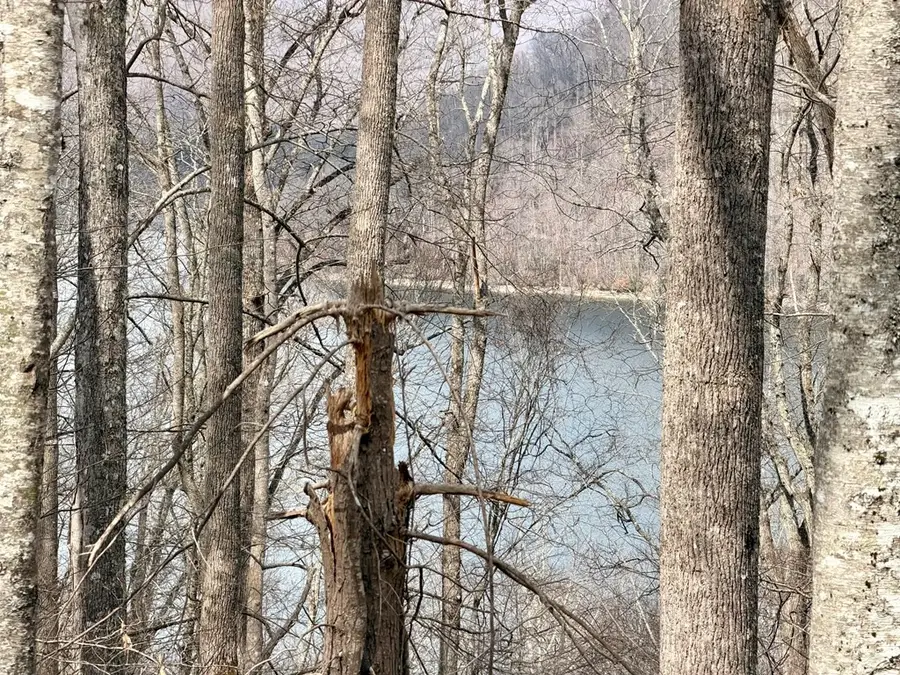 Lot 12 Lake Vista Circle, Nantahala, NC 28781 - #3