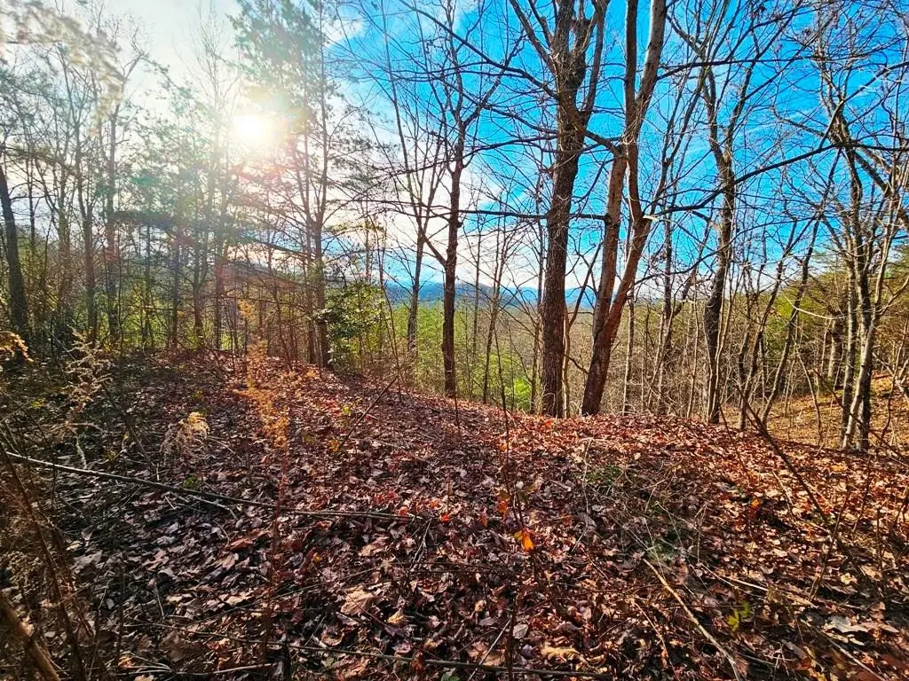 270 Graystone Drive, Murphy, NC 28906 - #1