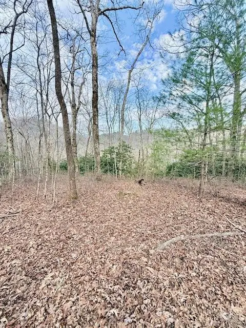 00 Pleasant View, Robbinsville, NC 28771 - #1