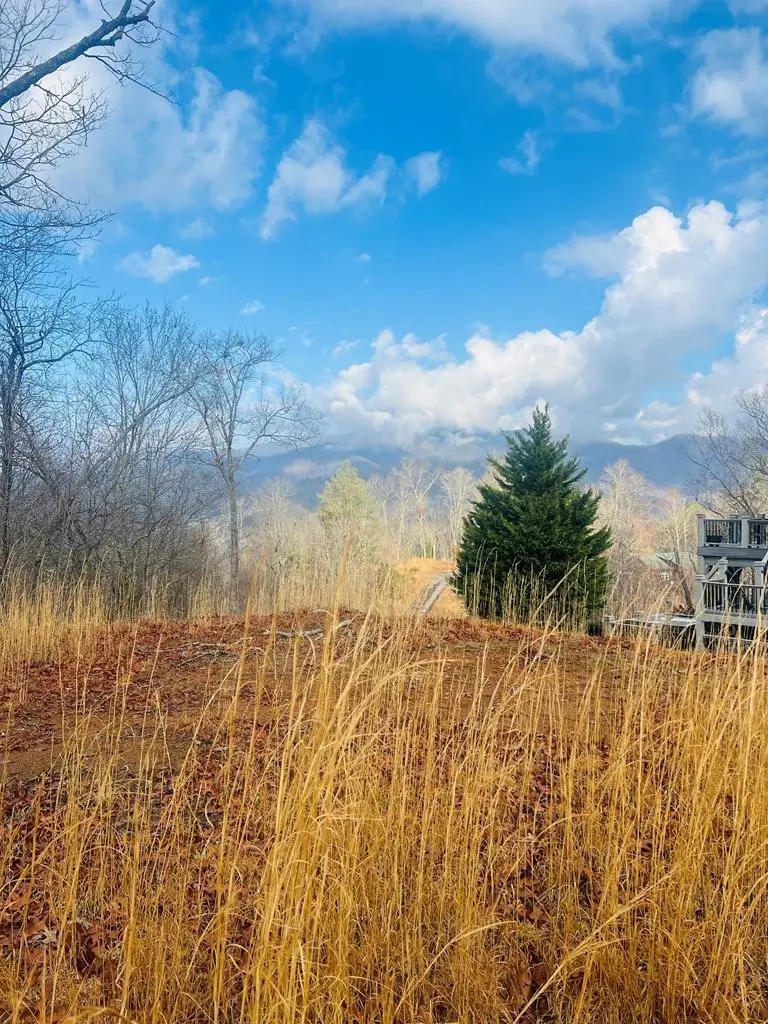 00 Aster Trail, Marble, NC 28905 - #2
