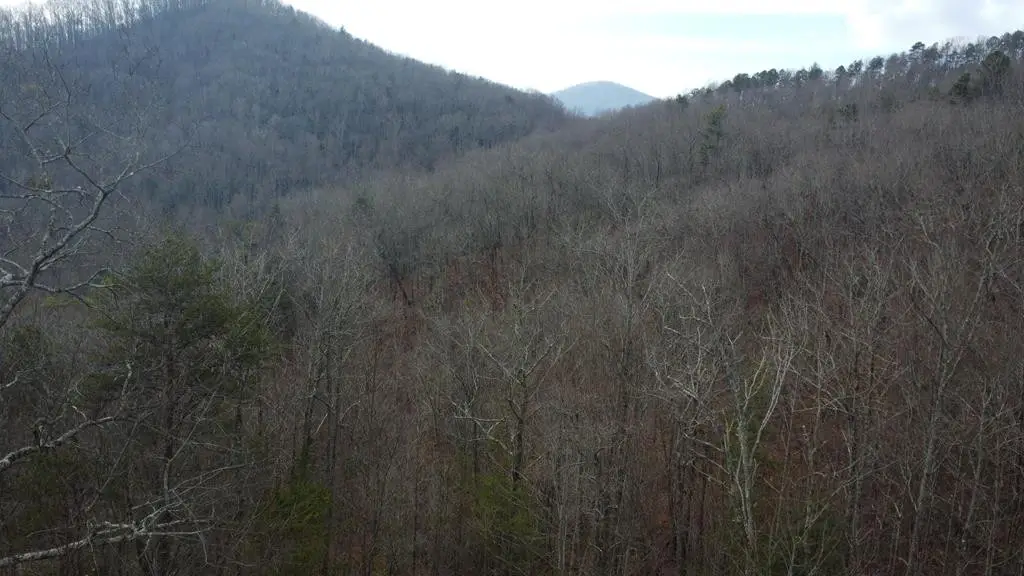 300 Jernigan Court, Murphy, NC 28906 - #1
