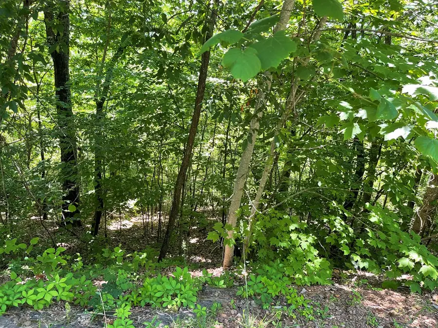 Lot 33B Grandview Drive, Hayesville, NC 28904 - #2