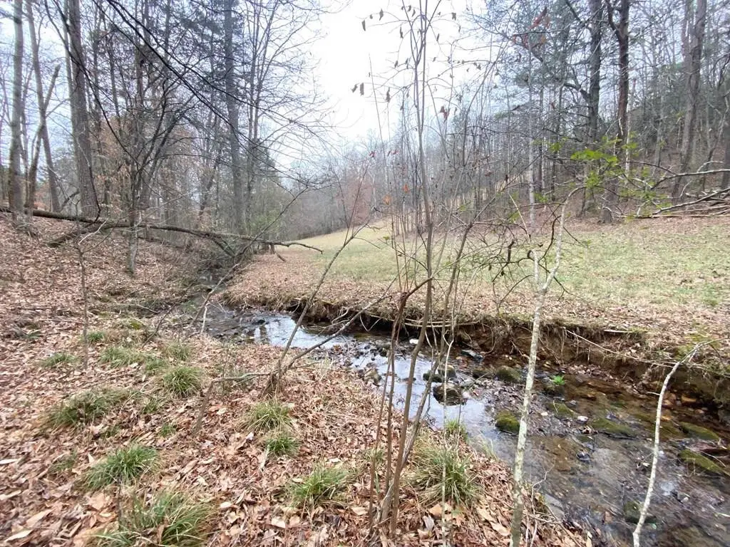 Lot 21 Broadleaf Lane, Murphy, NC 28906 - #1