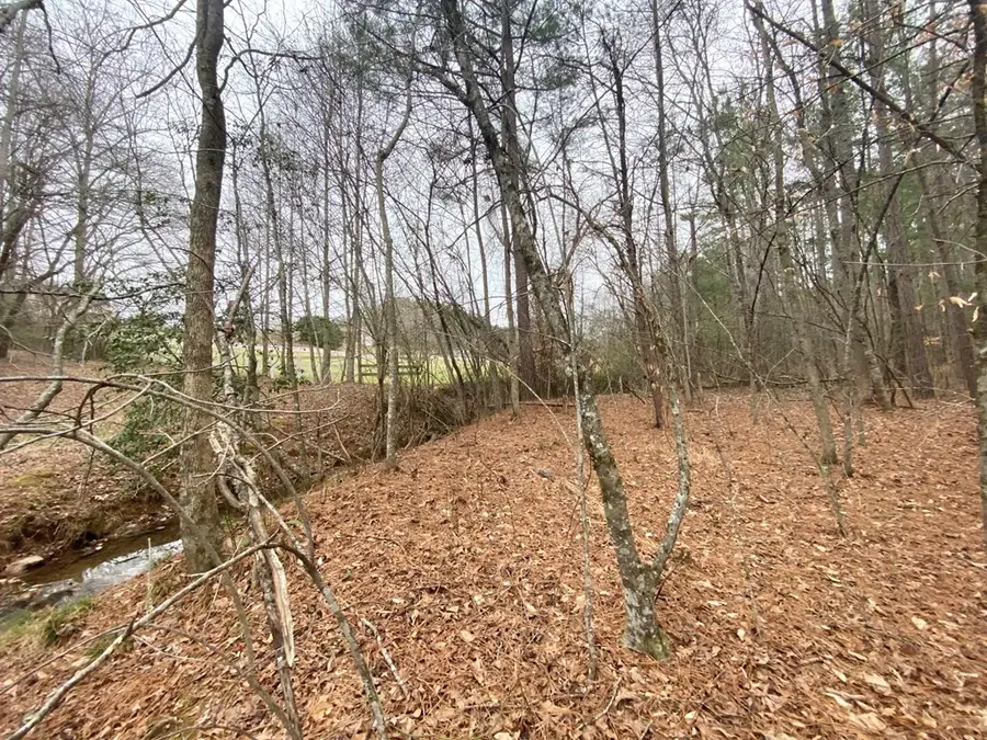 Lot 21 Broadleaf Lane, Murphy, NC 28906 - #3