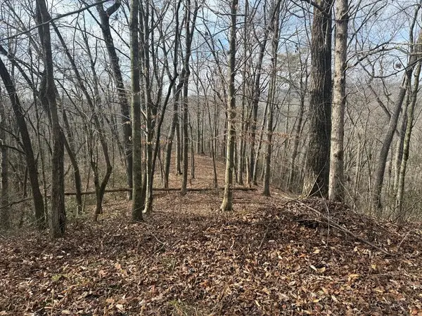 0 Smoky Mountain Ridge, Marble, NC 28905