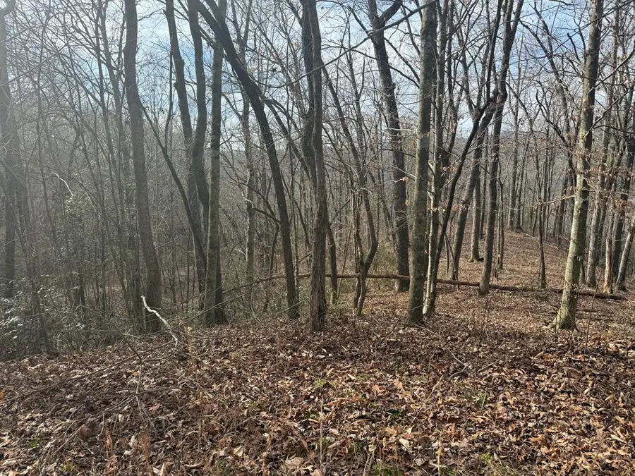 0 Smoky Mountain Ridge, Marble, NC 28905 - #2