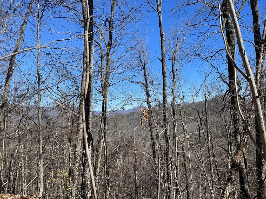Lot 68j Grandview Drive, Hayesville, NC 28904 - #1