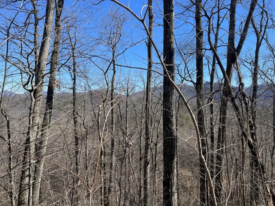 Lot 68j Grandview Drive, Hayesville, NC 28904 - #2